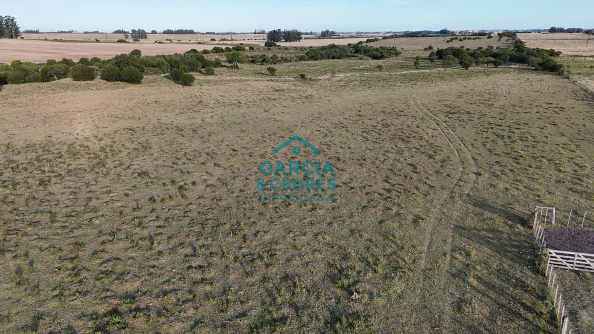 OPORTUNIDAD VENTA DE CHACRA 18 HAS 795 M2 ZONA ZANJA DE CHAVEZ