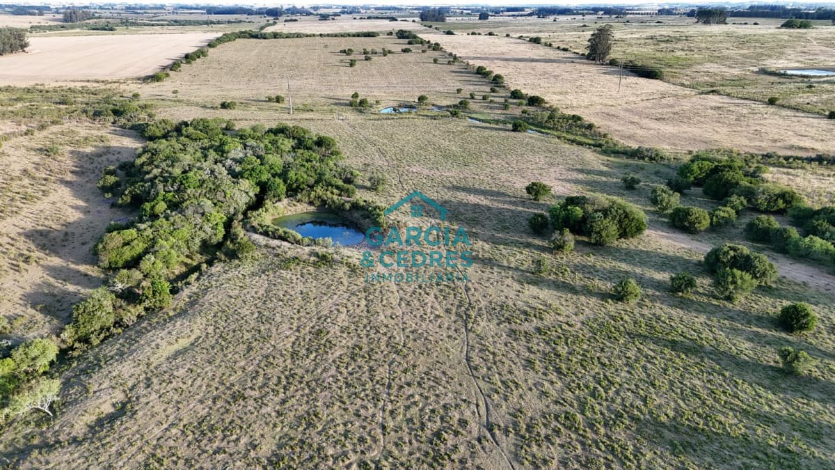 OPORTUNIDAD VENTA DE CHACRA 18 HAS 795 M2 ZONA ZANJA DE CHAVEZ