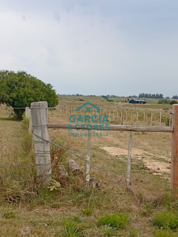 Chacra de 3has en venta, Corte de la Leña