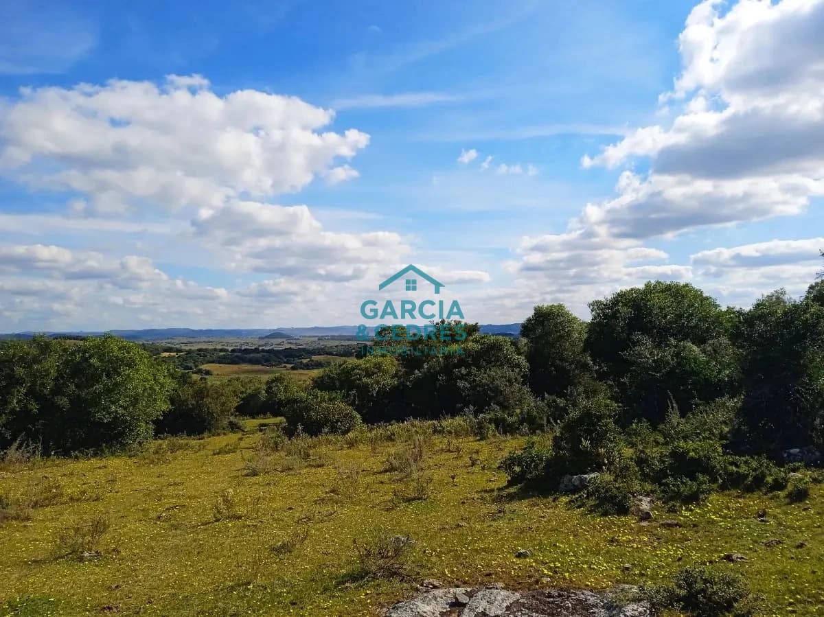 Venta de Chacra Con Arroyo, Monte Nativo, Pastoreo, Vistas 360 En Altura, Sierras De Aigua
