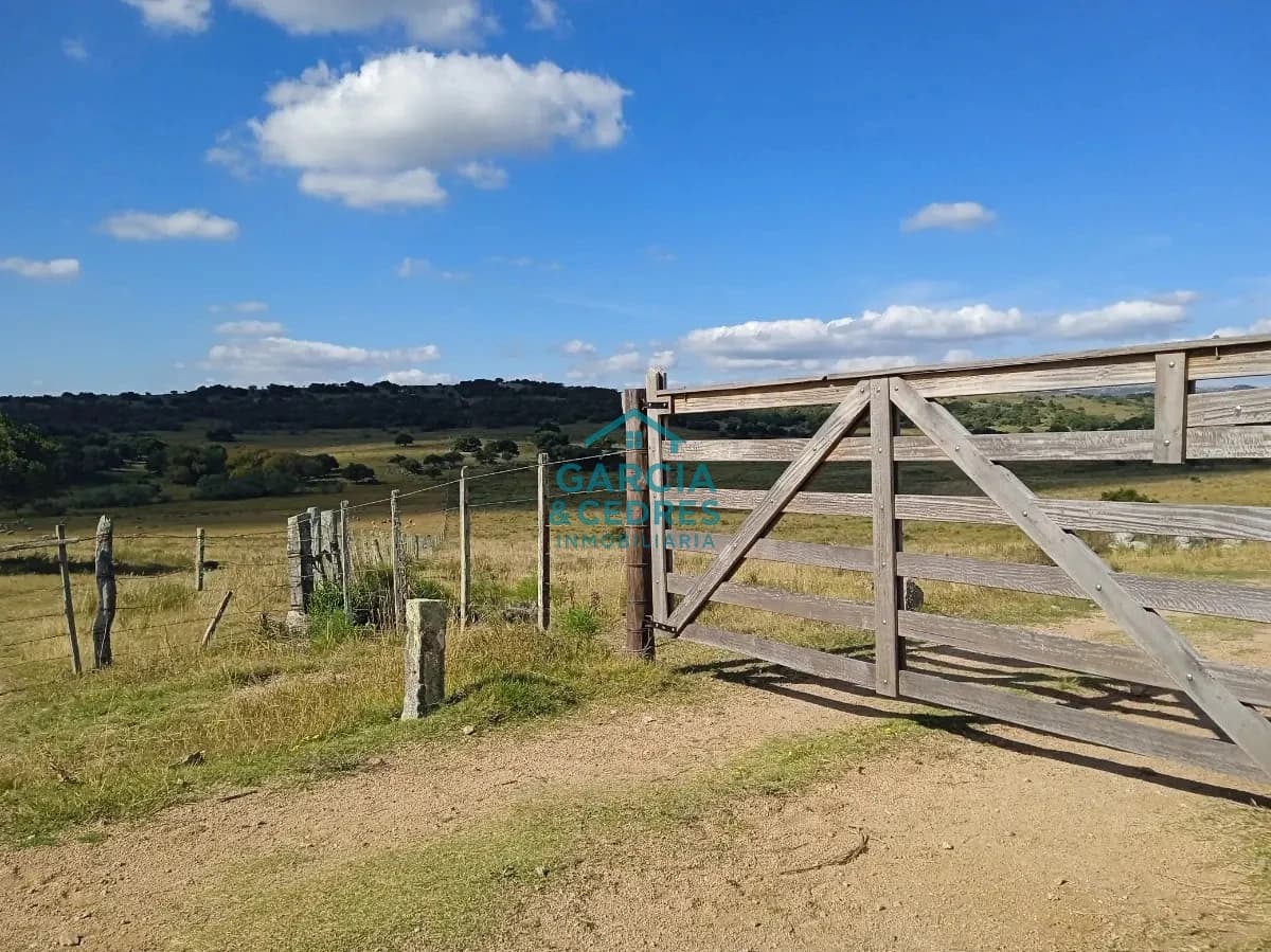 Venta de Chacra Con Arroyo, Monte Nativo, Pastoreo, Vistas 360 En Altura, Sierras De Aigua