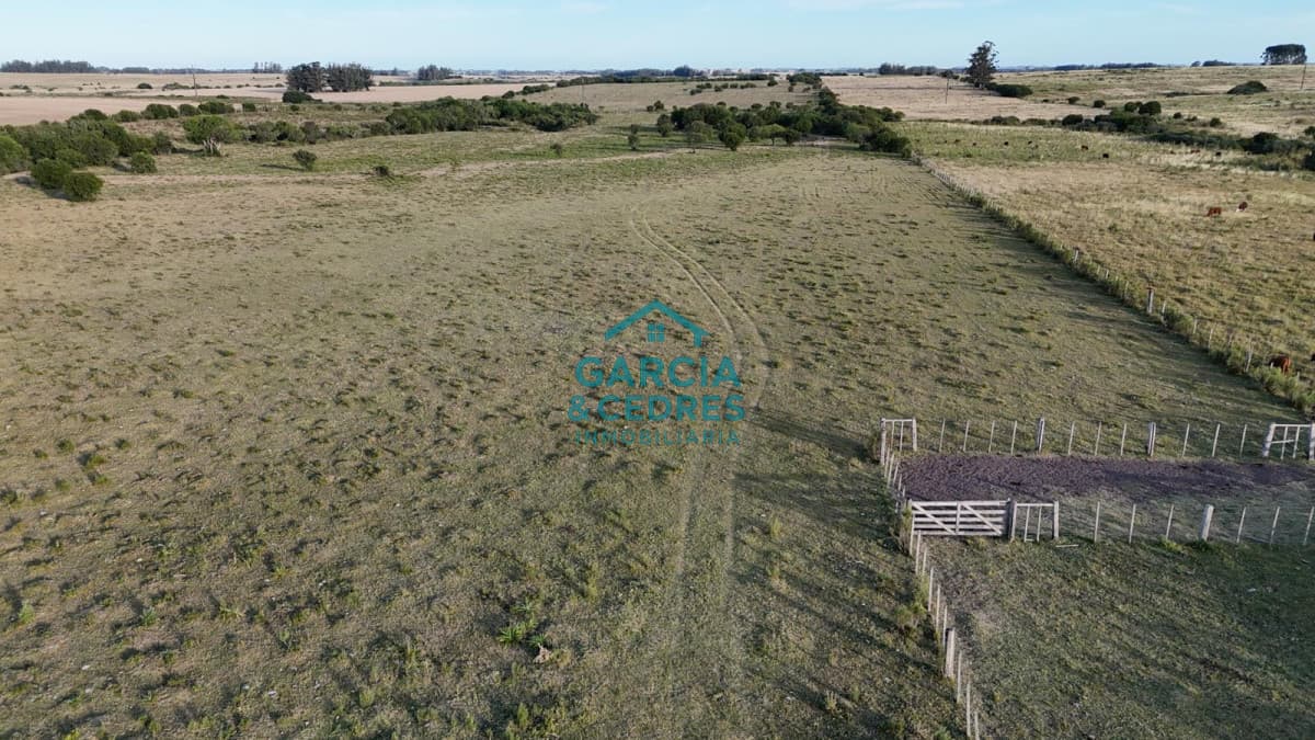 OPORTUNIDAD VENTA DE CHACRA 18 HAS 795 M2 ZONA ZANJA DE CHAVEZ
