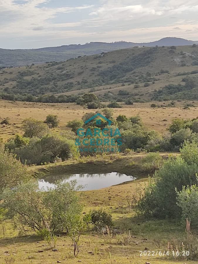OPORTUNIDAD VENTA DE CHACRA DE 6 HAS CAMINO SIERRA LOS CARACOLES , BELLEZA EN LAS SIERRAS