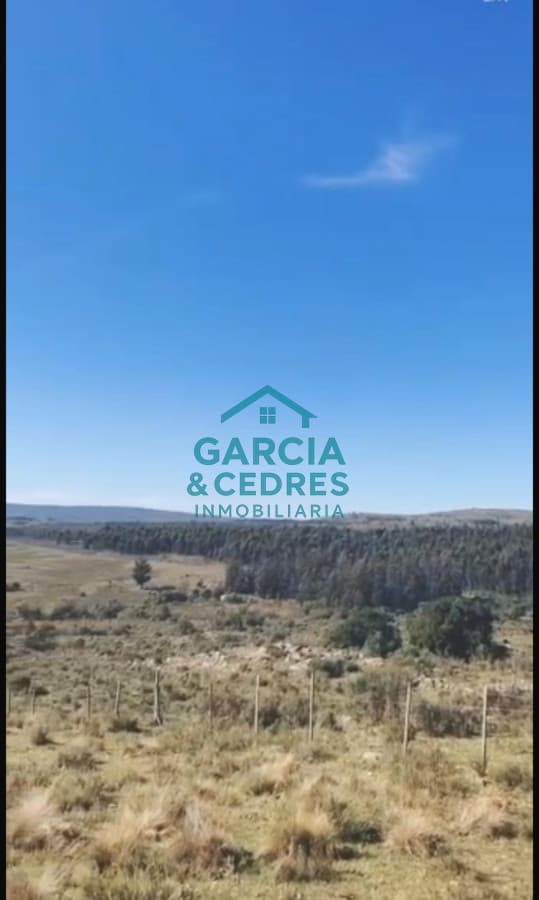 Oportunidad !!!!!! a solo U$S 90.000 .Vendo Chacra de 12 Has y 8000 mt en Minas . Cno Al Barrancon