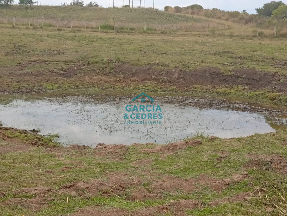 Chacra de 3has en venta, Corte de la Leña