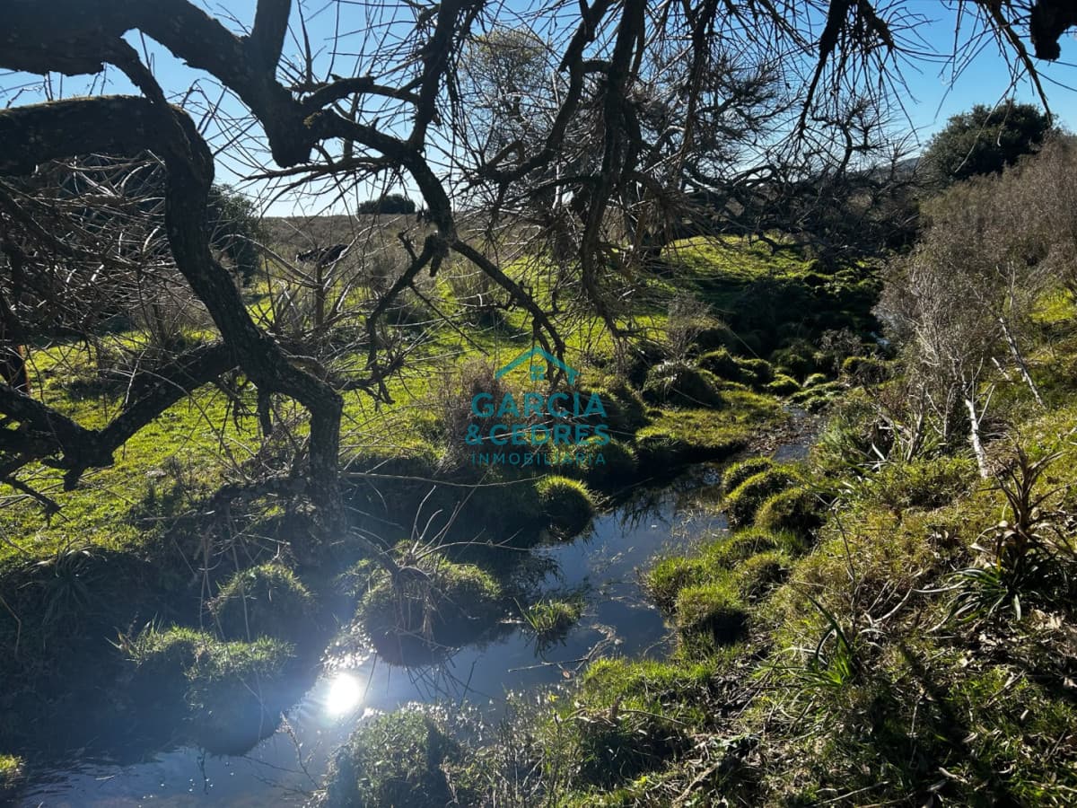 Chacra en Km 110 . 10 Hectáreas Exclusivas con Cañada Permanente y Vista Panorámica a la Sierra de las Ánimas