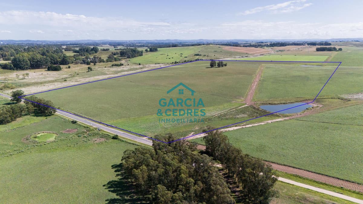 Ruta 104 & Camino del Medellín Campo de 42 Hectáreas con Alto Potencial de Inversión y Fraccionamiento. Barrio Privado -