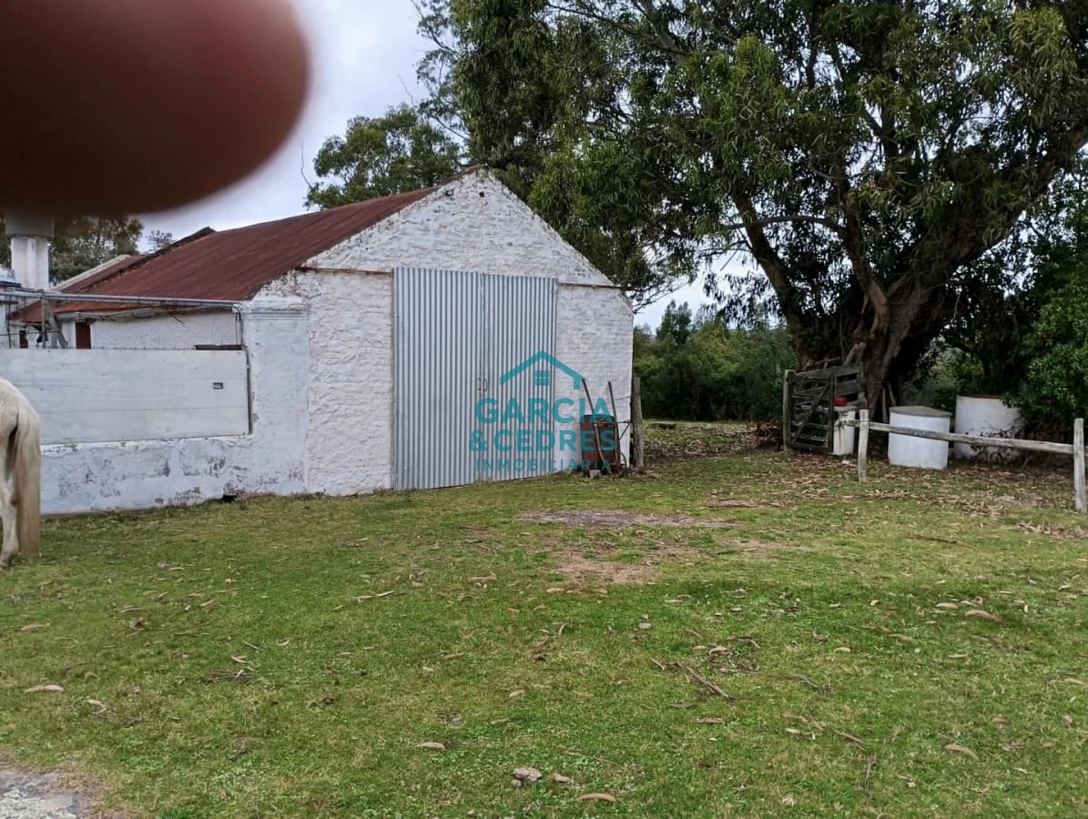 VENTA DE CAMPO EN RUTA 39 . LA ESTANCIA ESTA A5 KM DE LA RUTA 39