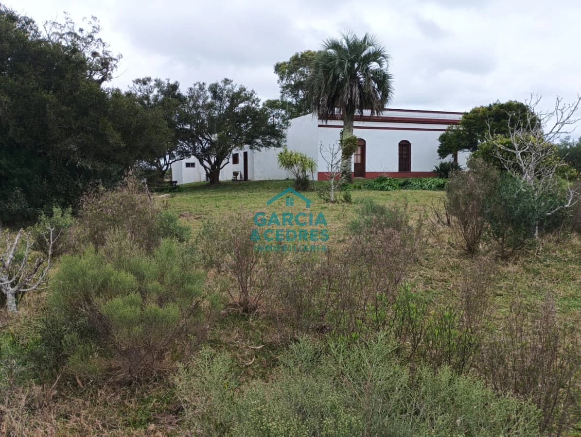 VENTA DE CAMPO EN RUTA 39 . LA ESTANCIA ESTA A5 KM DE LA RUTA 39
