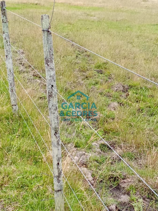 Campo en Rocha de 25 Has entre Lascano y Velazquez  a 1800 mt de Ruta 15