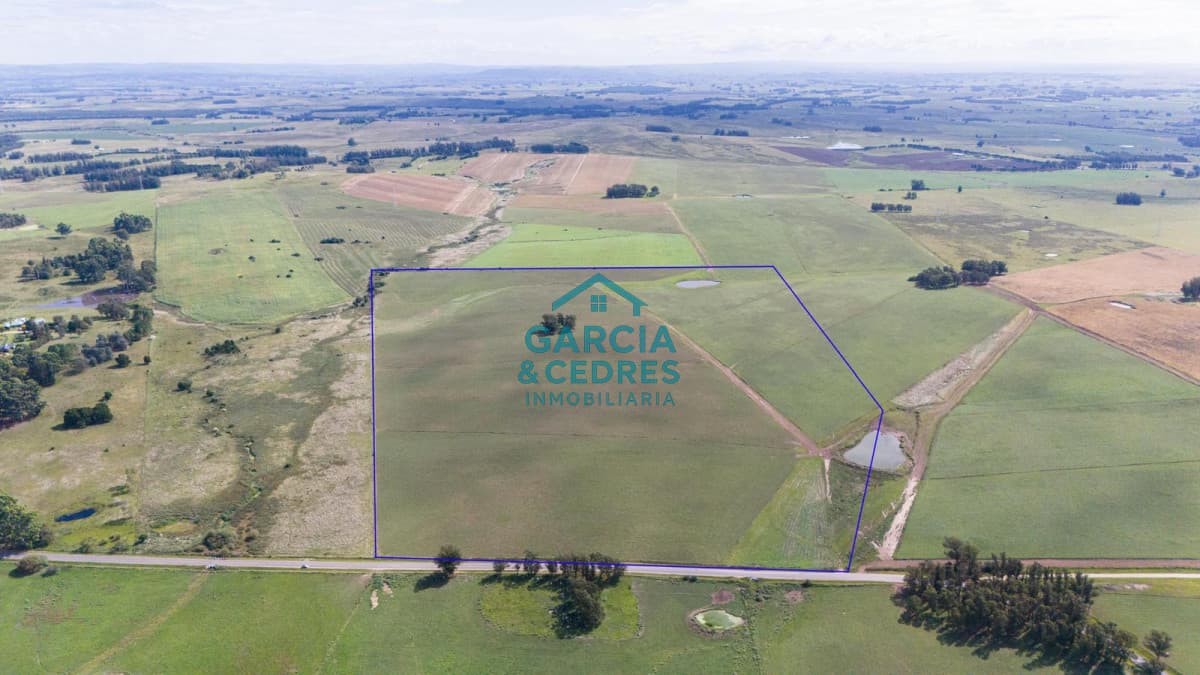 Ruta 104 & Camino del Medellín Campo de 42 Hectáreas con Alto Potencial de Inversión y Fraccionamiento. Barrio Privado -