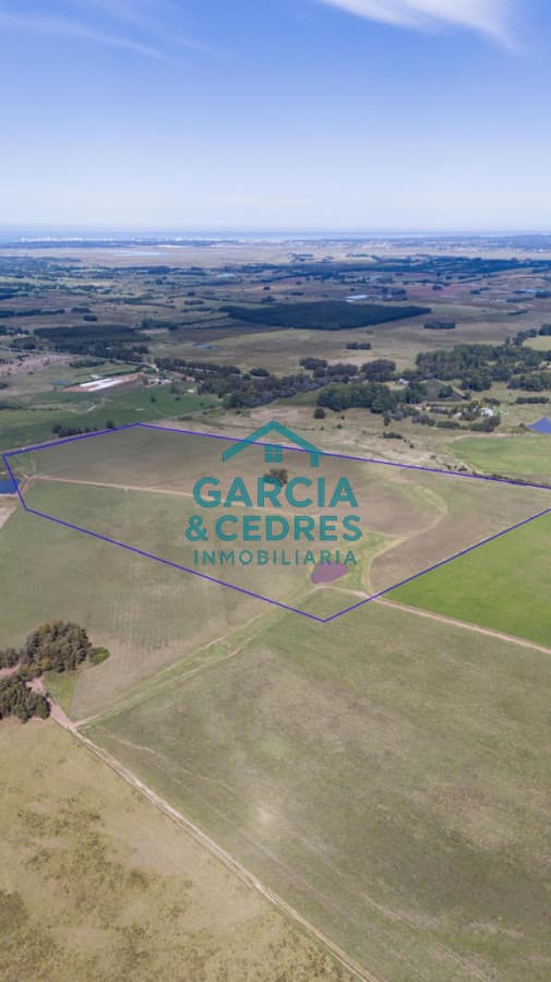 Ruta 104 & Camino del Medellín Campo de 42 Hectáreas con Alto Potencial de Inversión y Fraccionamiento. Barrio Privado -