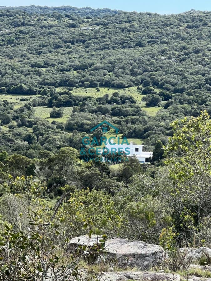 OPORTUNIDAD !!! CAMPO DE 35 HAS EN CAMINO CERRO CATEDRAL MALDONADO.