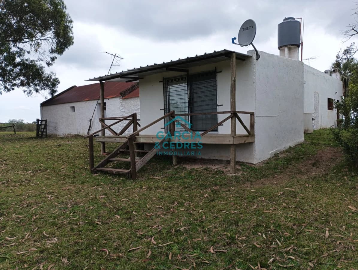 VENTA DE CAMPO EN RUTA 39 . LA ESTANCIA ESTA A5 KM DE LA RUTA 39