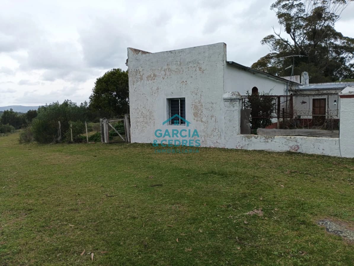 VENTA DE CAMPO EN RUTA 39 . LA ESTANCIA ESTA A5 KM DE LA RUTA 39