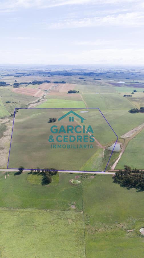 Ruta 104 & Camino del Medellín Campo de 42 Hectáreas con Alto Potencial de Inversión y Fraccionamiento. Barrio Privado -
