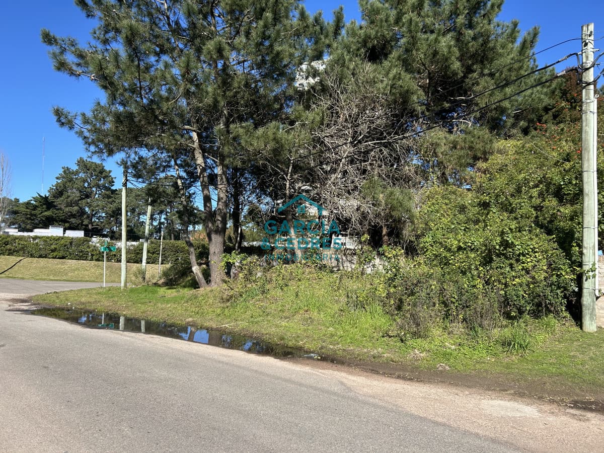 Terreno esquinero de 744 m2 con construcción de 87m2 frente a Blvar Artigas.