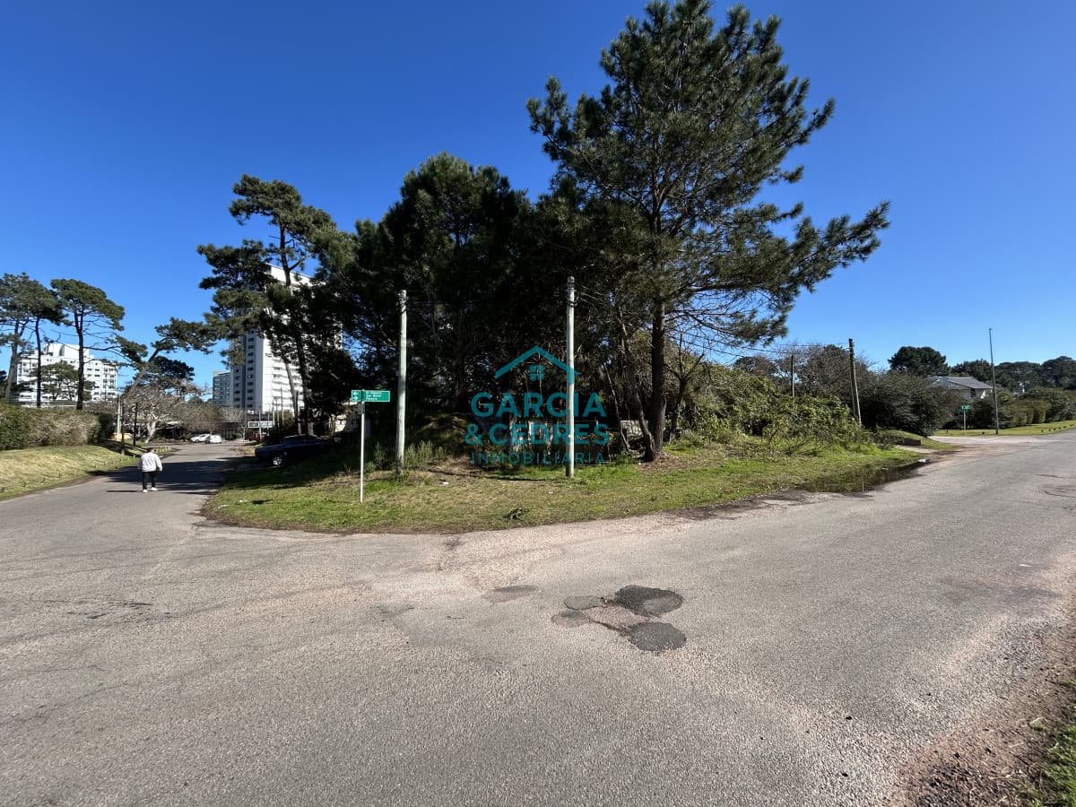 Terreno esquinero de 744 m2 con construcción de 87m2 frente a Blvar Artigas.
