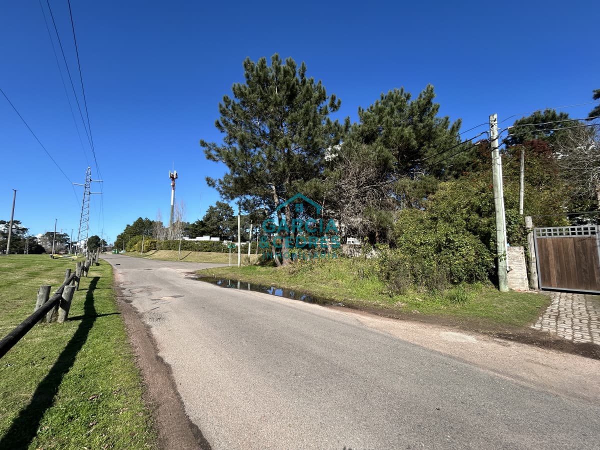 Terreno esquinero de 744 m2 con construcción de 87m2 frente a Blvar Artigas.