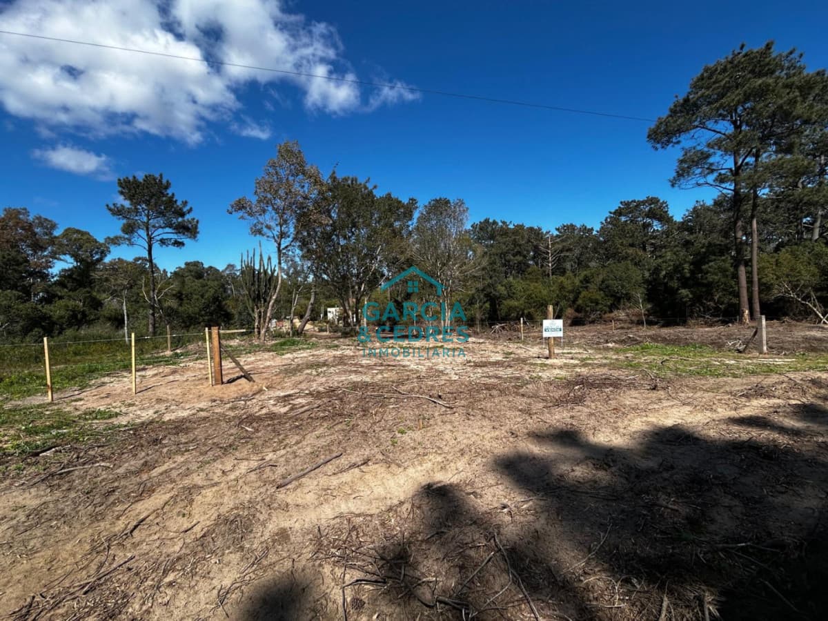 Vendo 3 Terrenos en Punta Colorada a 200 mts del mar