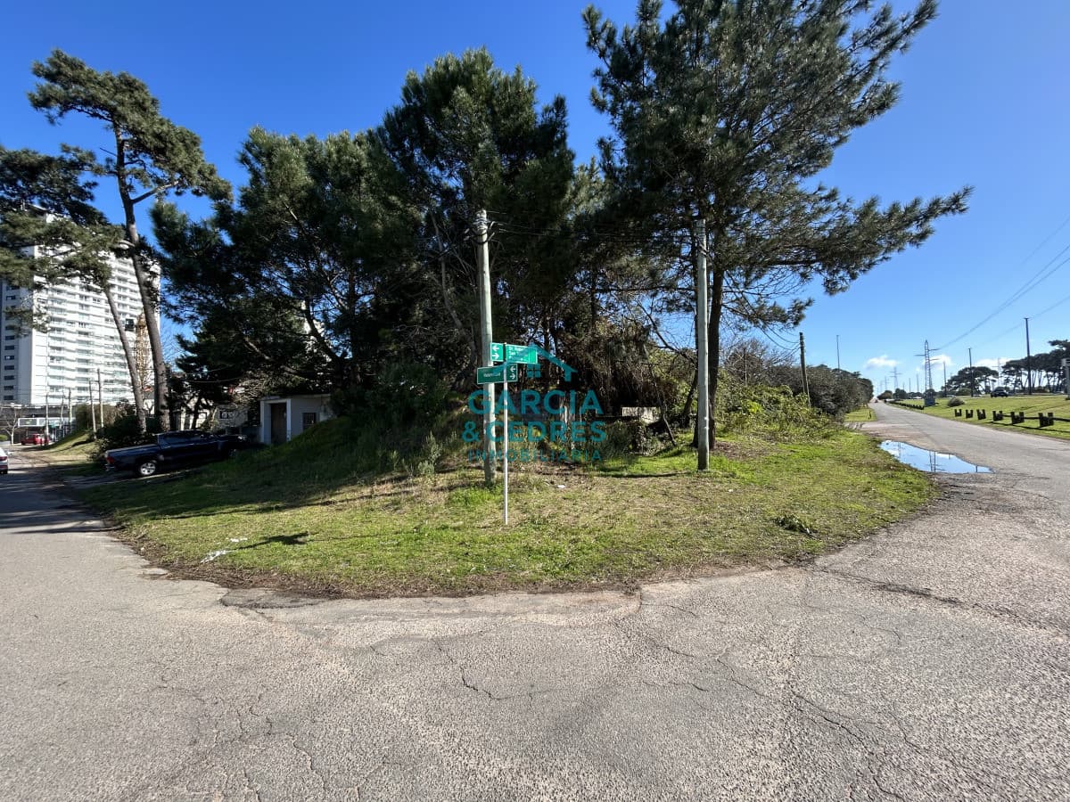 Terreno esquinero de 744 m2 con construcción de 87m2 frente a Blvar Artigas.