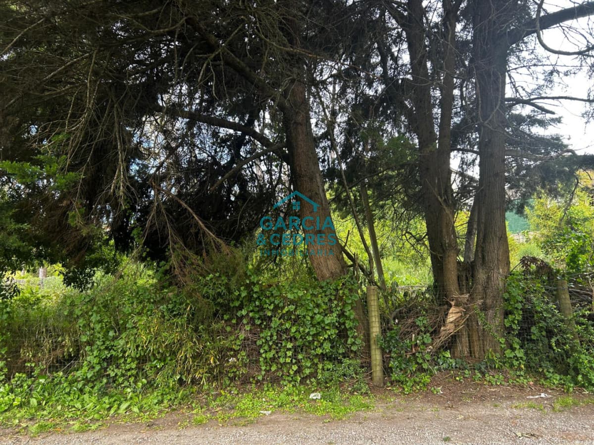 Oportunidad en Cantegril! Terreno de 1.047 m² en Punta del Este
