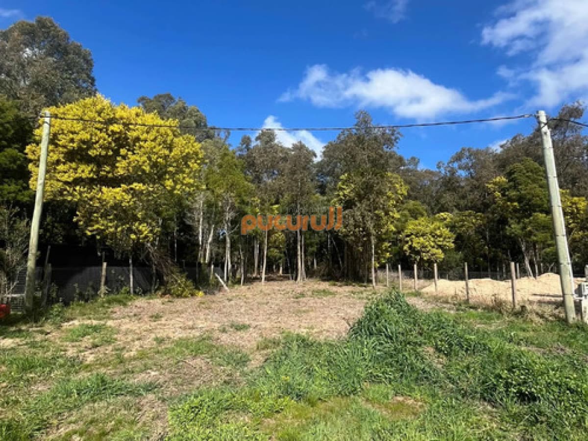 Terreno en venta en Sauce de Portezuelo
