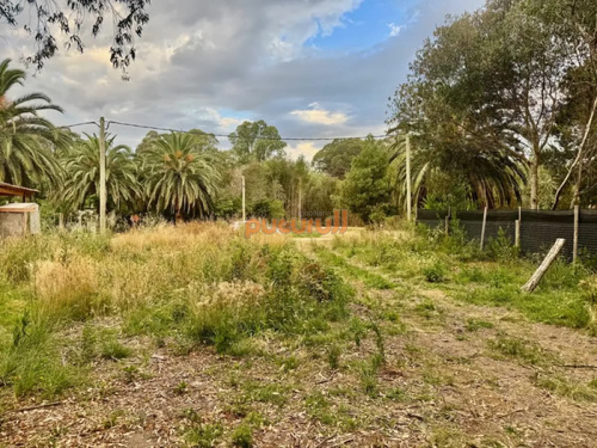 Terreno en venta en Sauce de Portezuelo