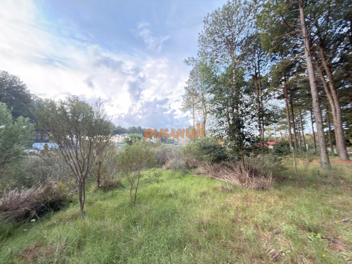 Terreno en venta Chacras del pinar Maldonado