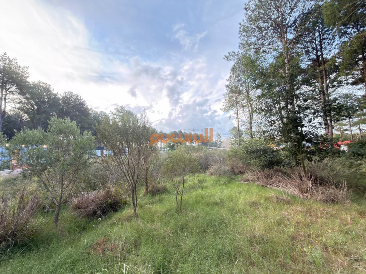 Terreno en venta Chacras del pinar Maldonado