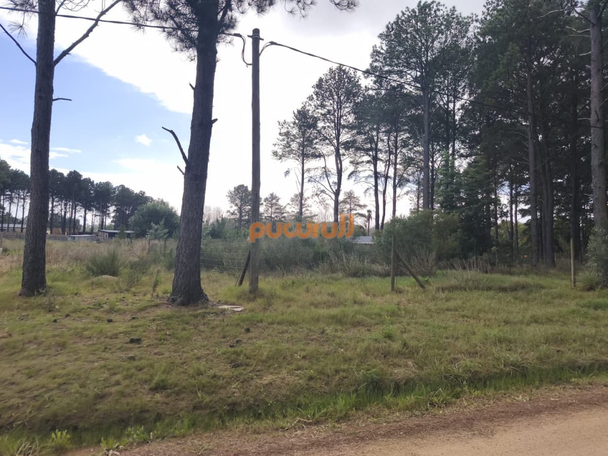 Terreno en venta Chacras del pinar Maldonado