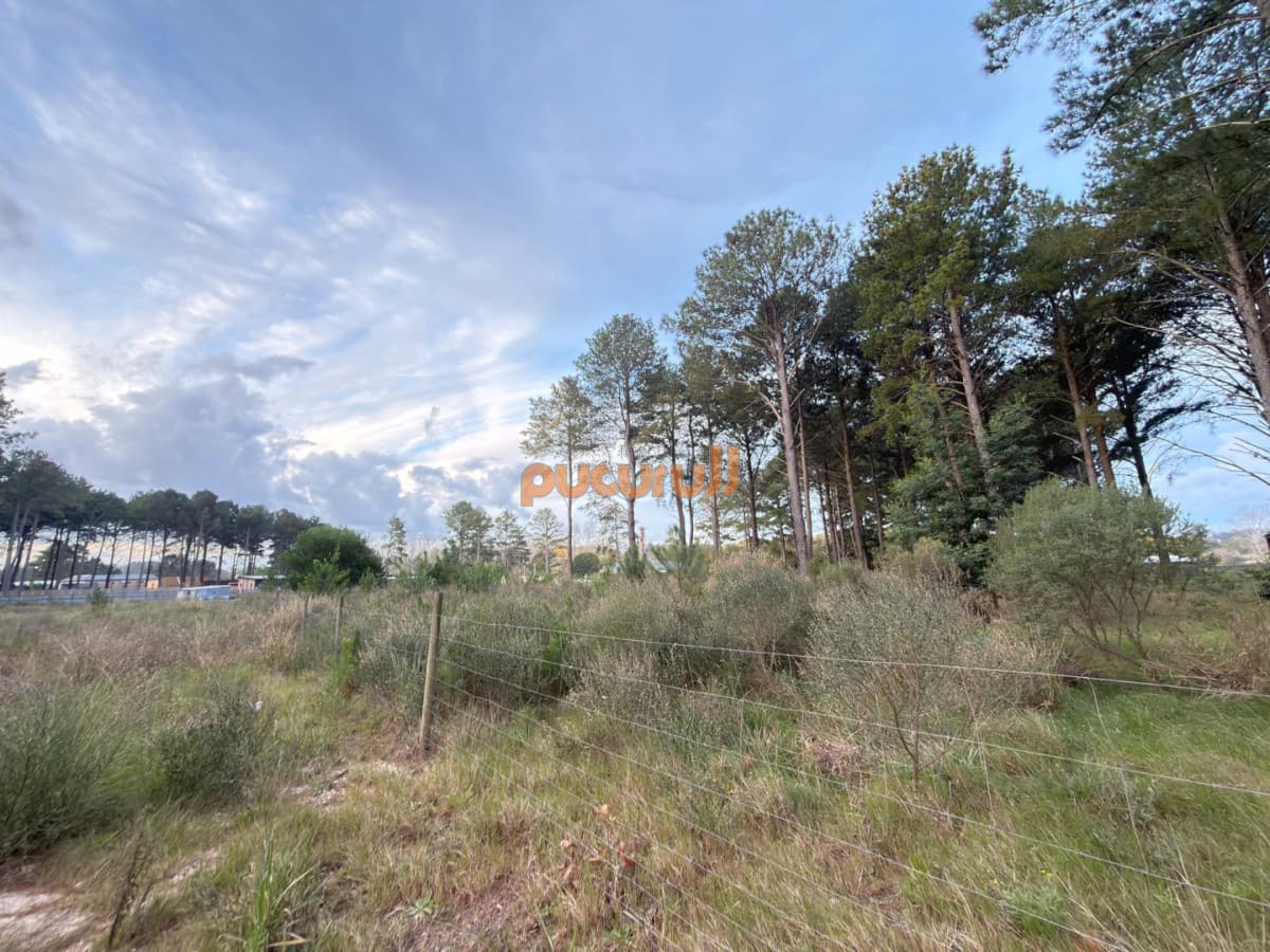 Terreno en venta Chacras del pinar Maldonado