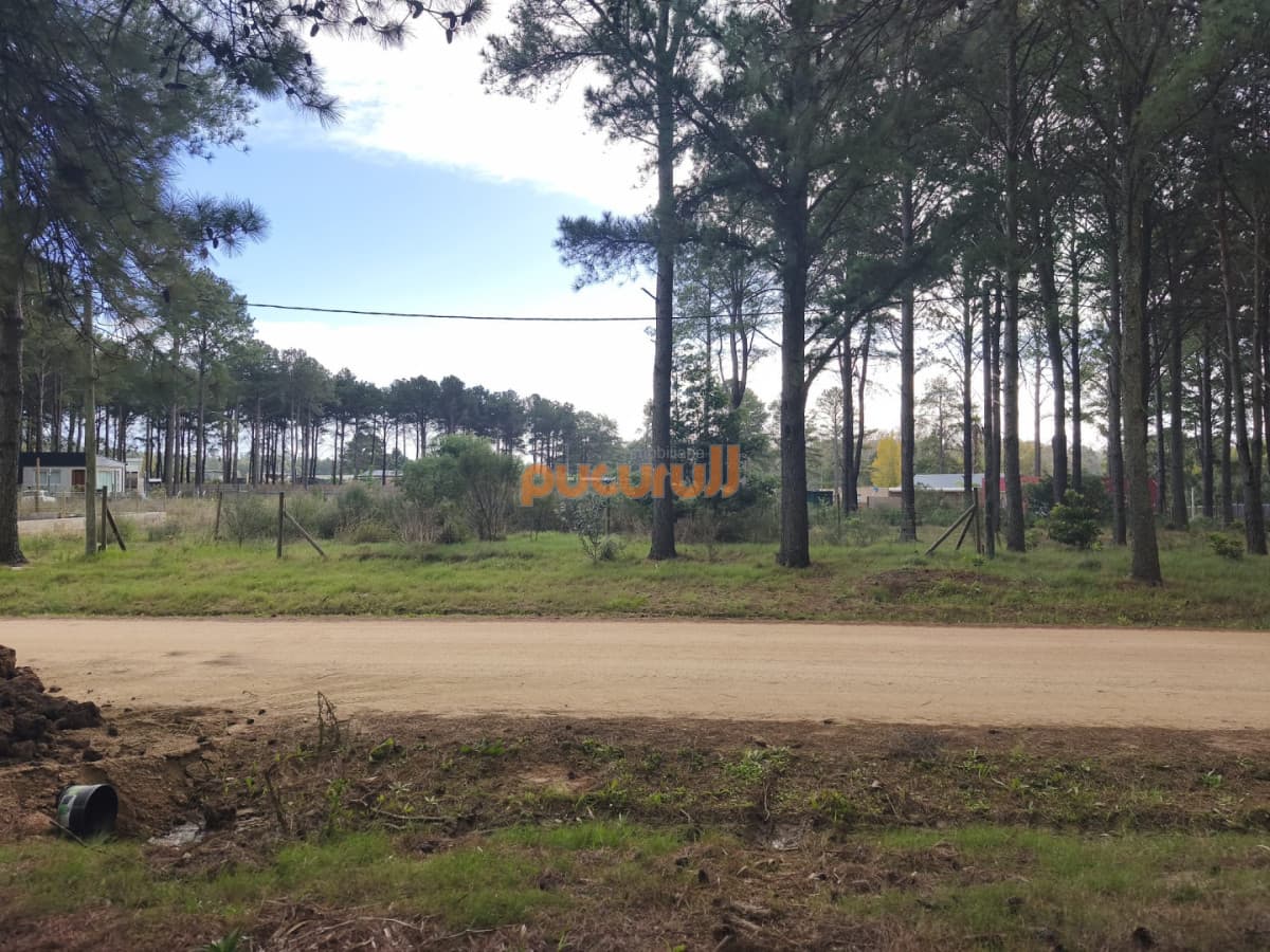 Terreno en venta Chacras del pinar Maldonado