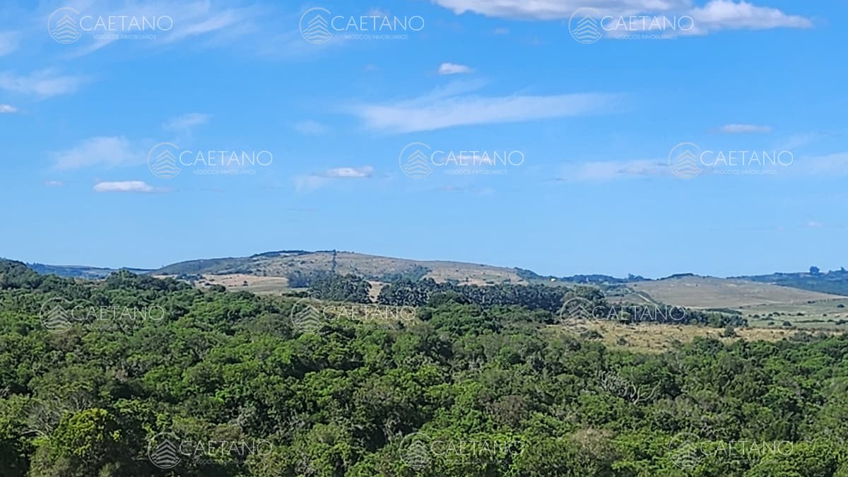 Campo 60 hs en Pueblo Edén Ruta 12