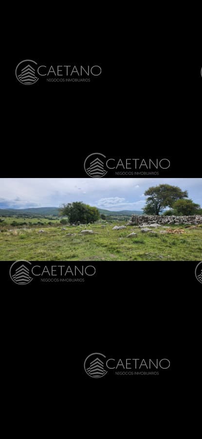 Campo en venta en Pueblo Edén