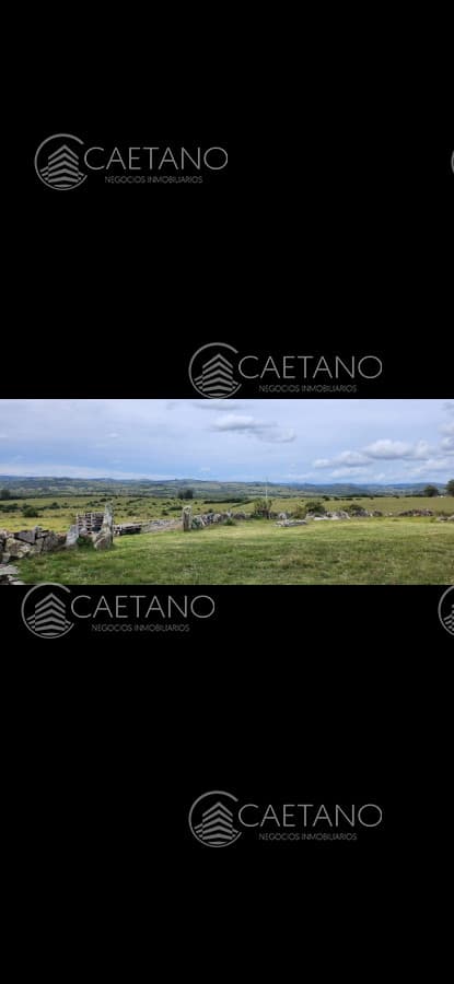 Campo en venta en Pueblo Edén