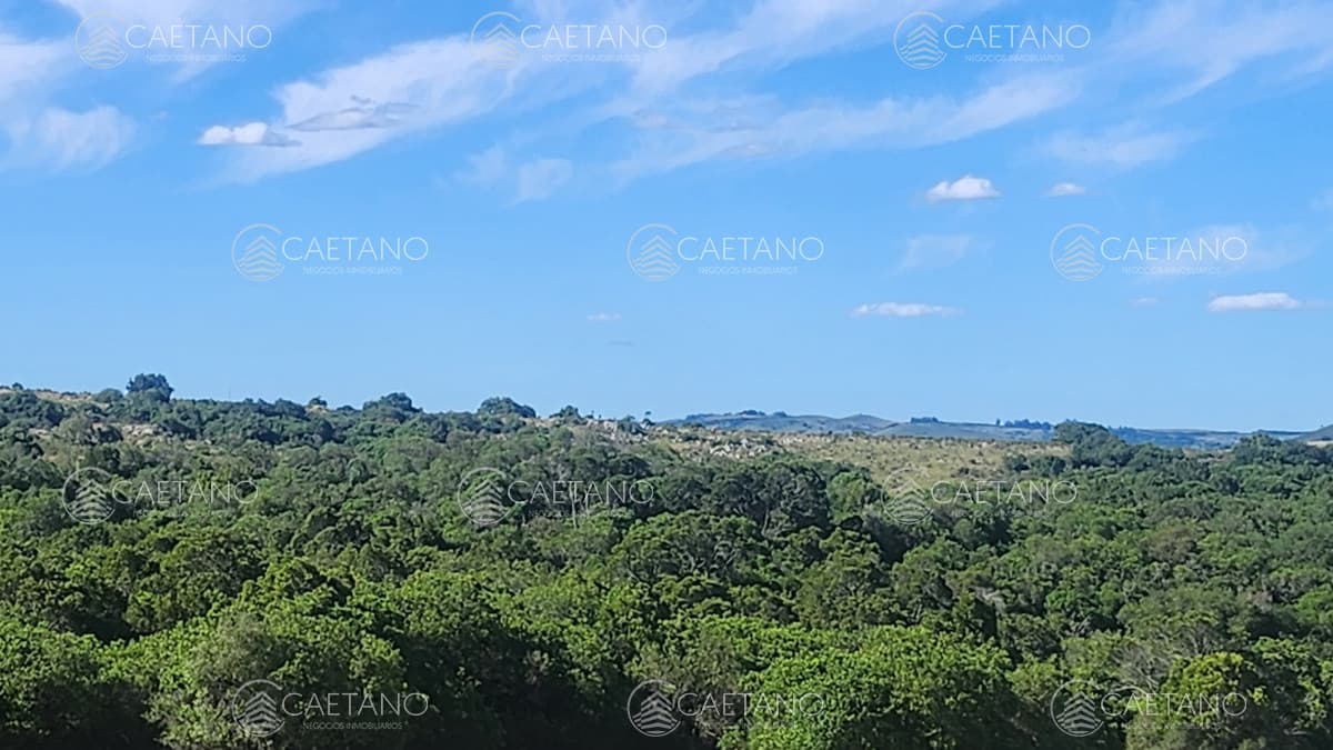Campo 60 hs en Pueblo Edén Ruta 12