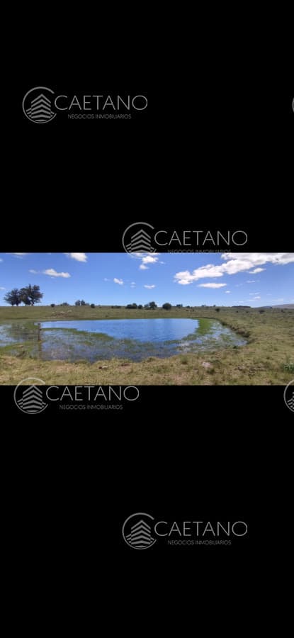 Campo en venta en Pueblo Edén