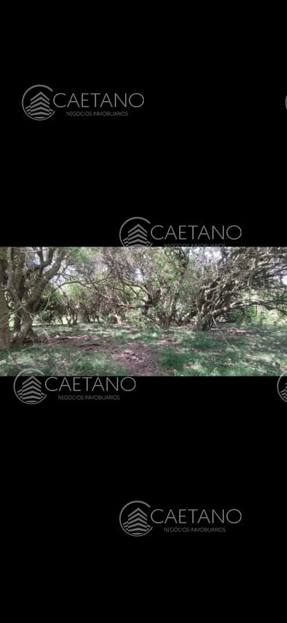 Campo en venta en Pueblo Edén
