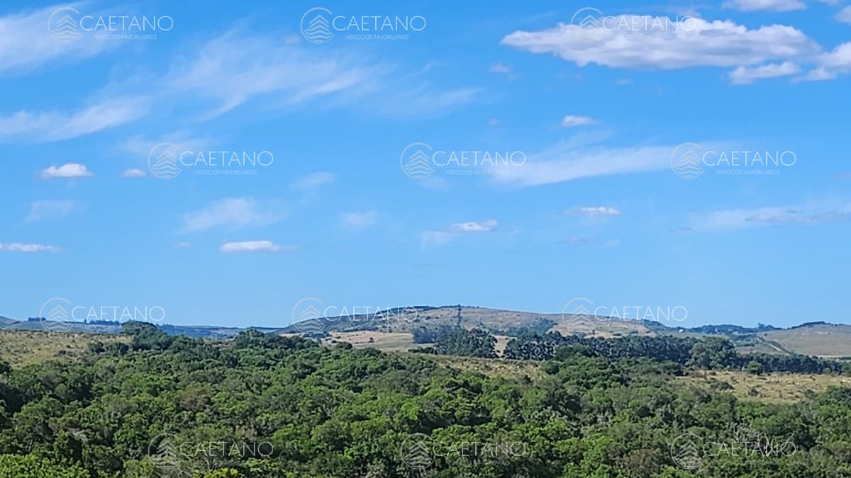 Campo 60 hs en Pueblo Edén Ruta 12