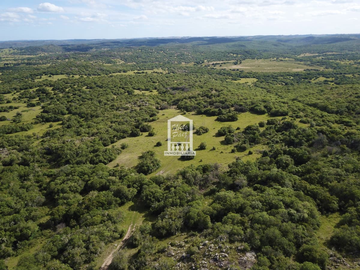 Estancia en las Sierras de Lavalleja - 1.037 hectáreas de naturaleza, escala y proyección
