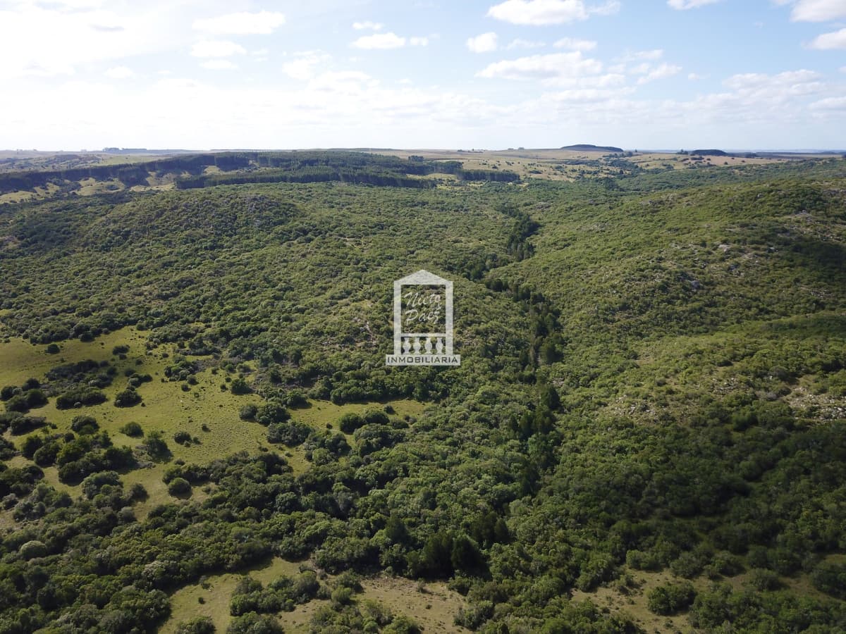 Estancia en las Sierras de Lavalleja - 1.037 hectáreas de naturaleza, escala y proyección