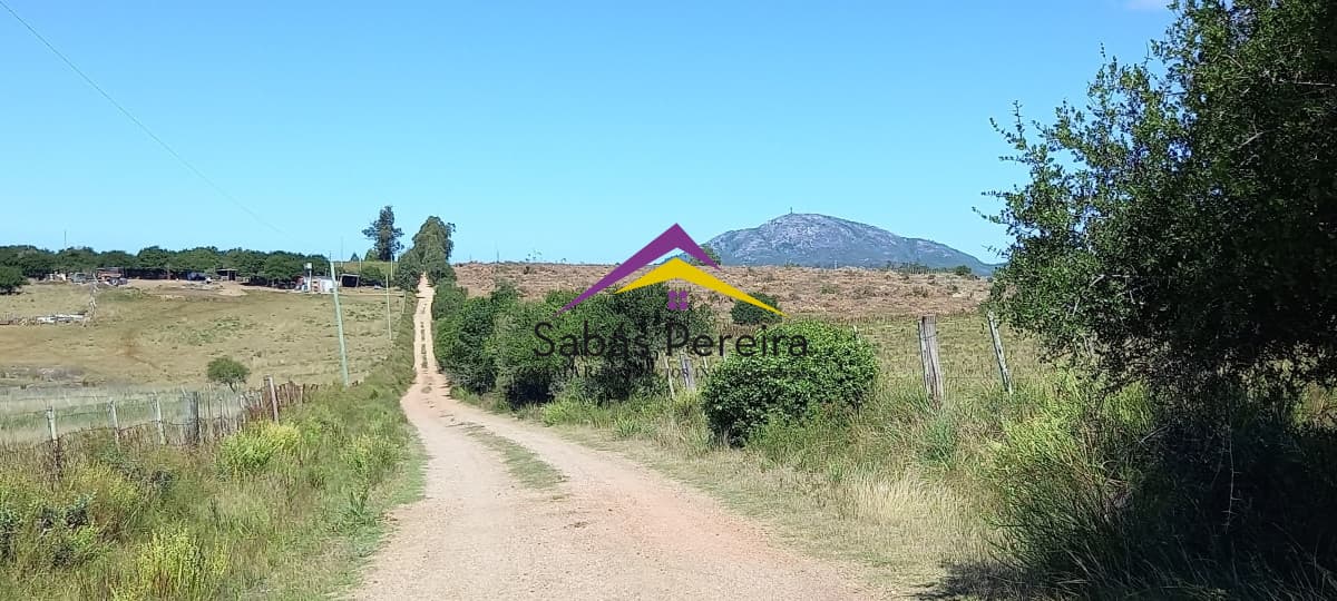 Chacra ID.41230 - Venta Chacra 18ha con casa sobre ruta 9, Pan de Azúcar, Maldonado