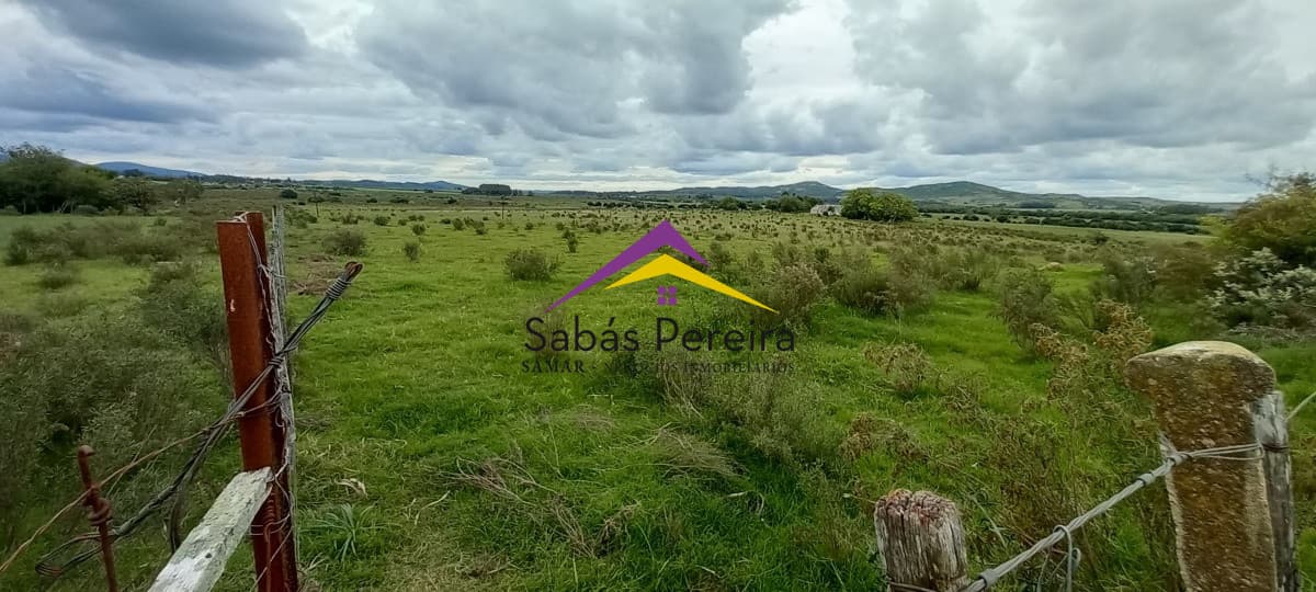 Chacra ID.41051 - Venta chacra de 10 hectáreas, Pan de Azúcar, Piriápolis, Maldonado