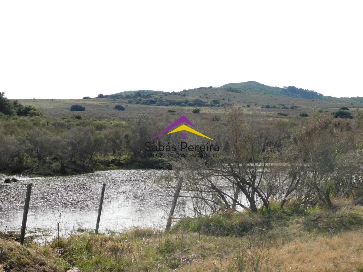 Chacra ID.41458 - Venta chacra 40há, Pan de Azucar, Maldonado