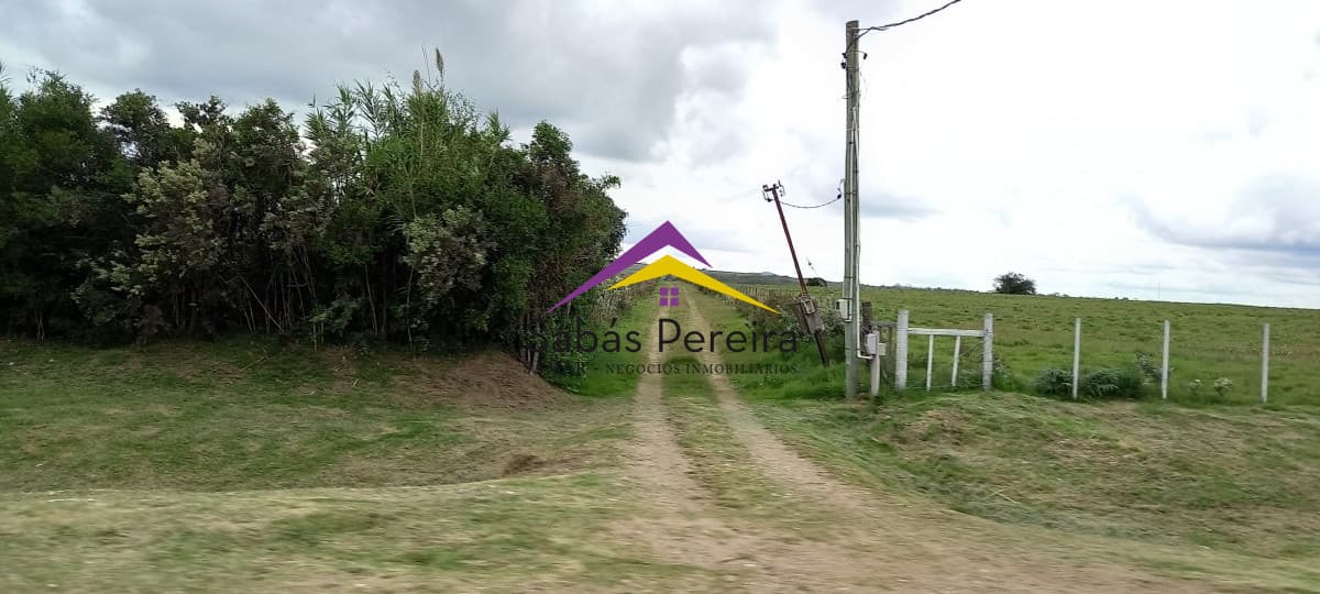 Chacra ID.41051 - Venta chacra de 10 hectáreas, Pan de Azúcar, Piriápolis, Maldonado