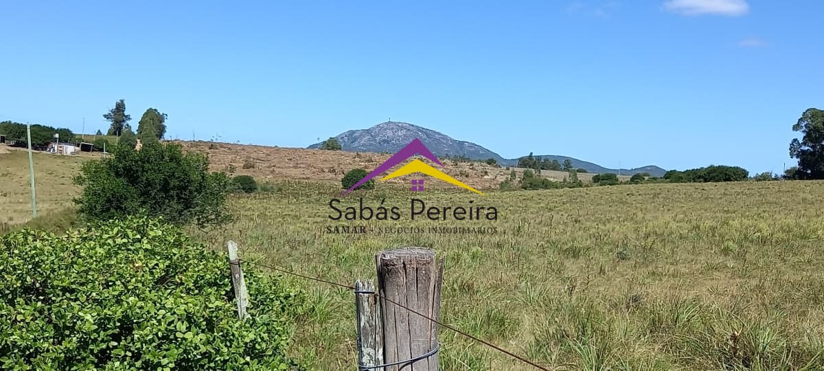 Chacra ID.41230 - Venta Chacra 18ha con casa sobre ruta 9, Pan de Azúcar, Maldonado