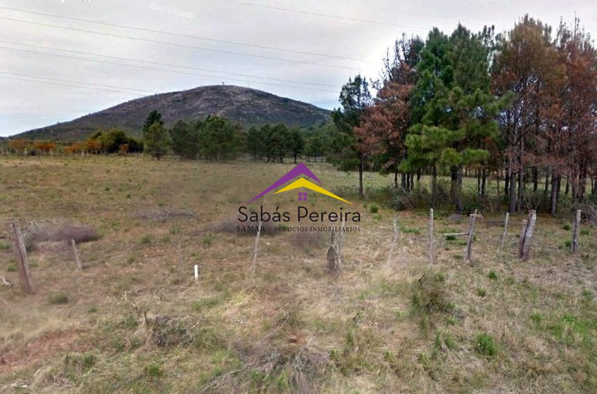 Chacra ID.40987 - Venta Chacra  7há, Piriápolis, Maldonado