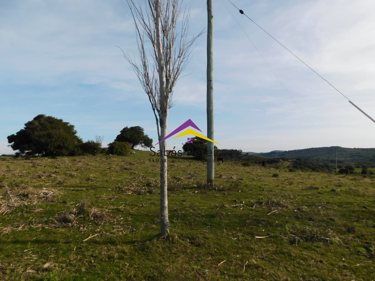 Chacra ID.41459 - Venta chacra con casa sobre ruta 60 de 20há, Lavalleja.