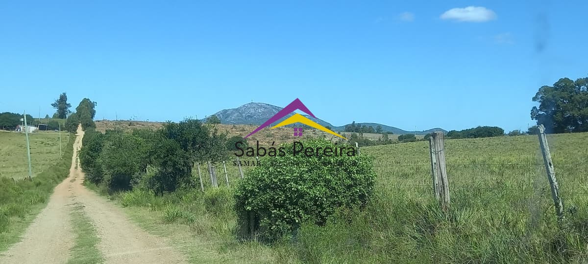 Chacra ID.41230 - Venta Chacra 18ha con casa sobre ruta 9, Pan de Azúcar, Maldonado